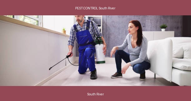PEST CONTROL South River